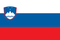 Ein Bild der Flagge von Slowenien